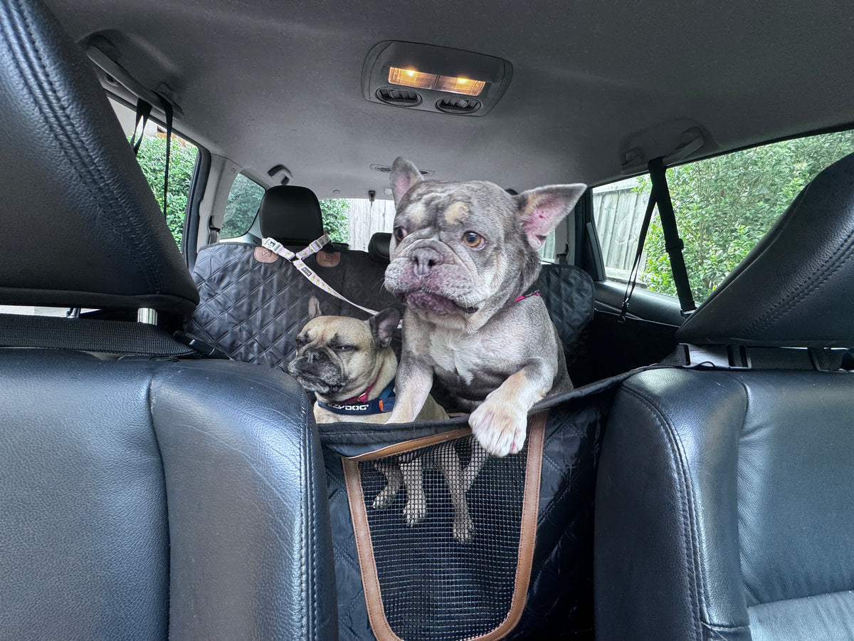 Car Seat Protector for Pets | Heavy Duty Hard-base Waterproof Dog Seat Cover