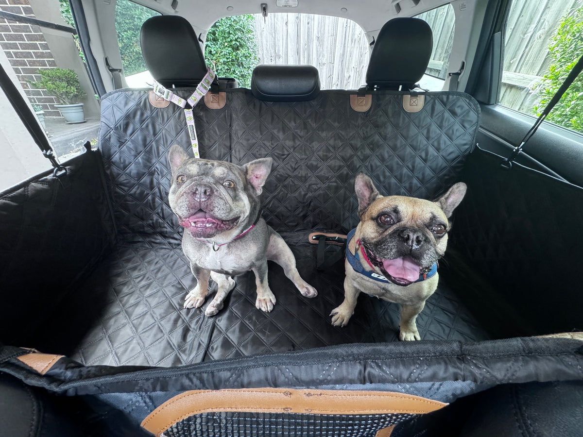Car Seat Protector for Pets | Heavy Duty Hard-base Waterproof Dog Seat Cover