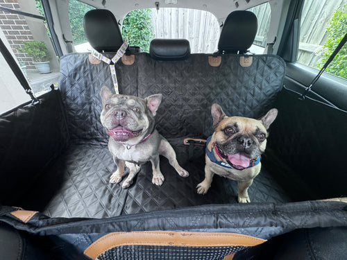 Car Seat Protector for Pets | Heavy Duty Hard-base Waterproof Dog Seat Cover