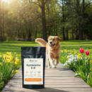 Synbiotic 3.0 Pre + Pro + Postbiotic Support for Dogs & Cats