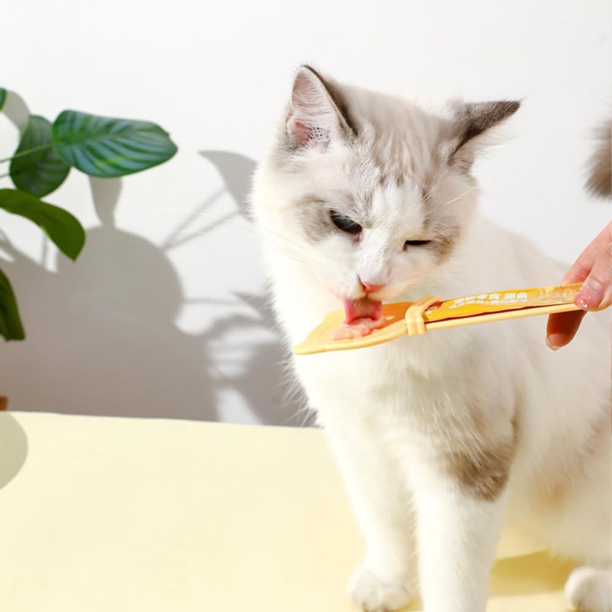 Cat Treat Squeeze Spoons – Mess-Free Feeding for Wet Food & Purees, Set of 3