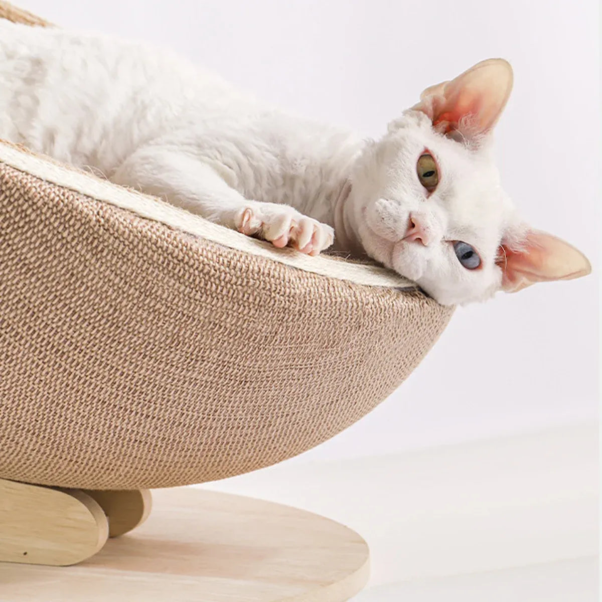 Egg Shell Cat Scratcher Nest – Combo Scratching Pad & Lounge