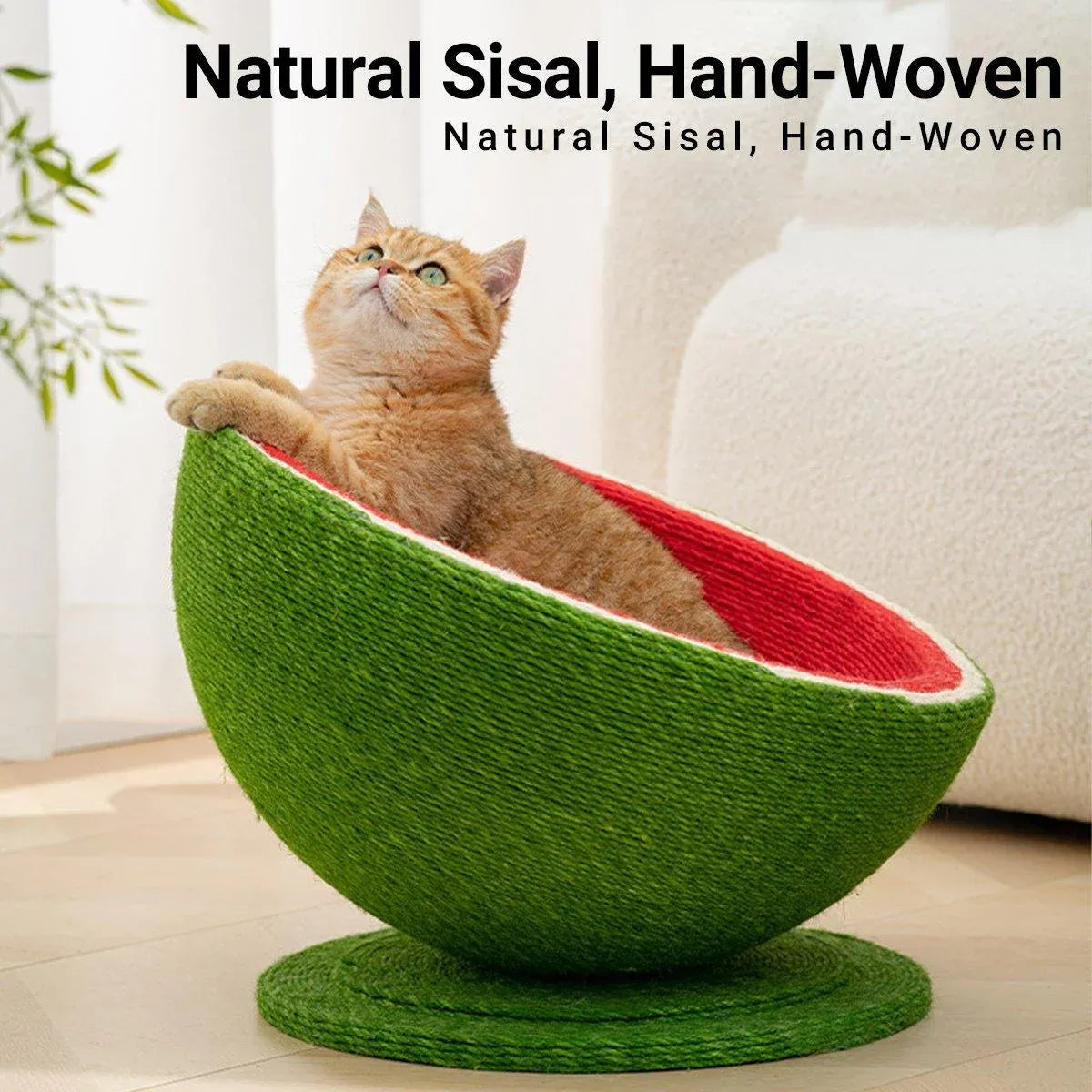 Watermelon Cat Scratching Bowl - All in One Scratcher Toy for Cats & Kitten