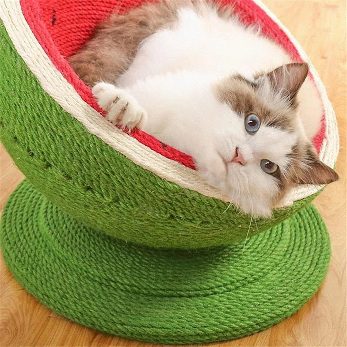 Watermelon Cat Scratching Bowl - All in One Scratcher Toy for Cats & Kitten