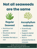 Pure Seaweed Organic Dental Health Care for Dog and Cat
