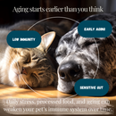 Vital 7 Organic Mushrooms Blend+ Ergothioneine For Dog and Cat