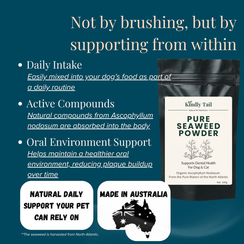 Pure Seaweed Organic Dental Health Care for Dog and Cat