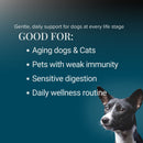 Vital 7 Organic Mushrooms Blend+ Ergothioneine For Dog and Cat