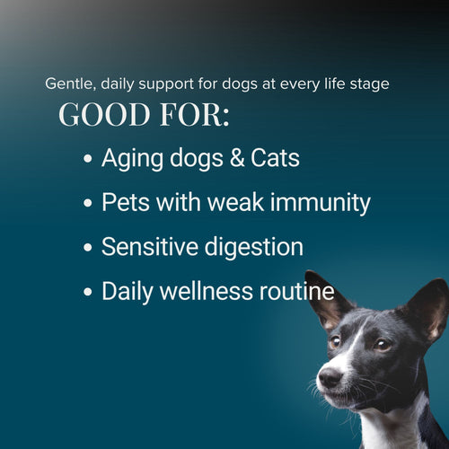 Vital 7 Organic Mushrooms Blend+ Ergothioneine For Dog and Cat